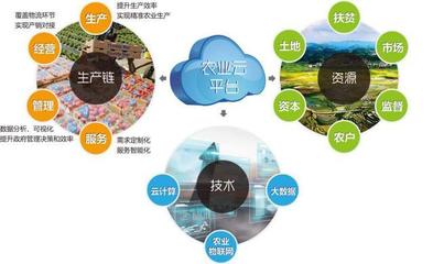 他山之石可以攻玉 借鑒美國(guó)農(nóng)業(yè)信息化經(jīng)驗(yàn)，以信息技術(shù)咨詢服務(wù)升級(jí)中國(guó)農(nóng)民